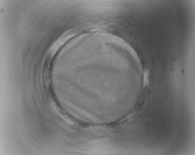 X0000051880291200507151920