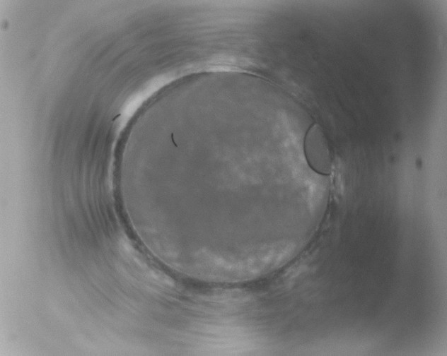 X0000051880292200507151920