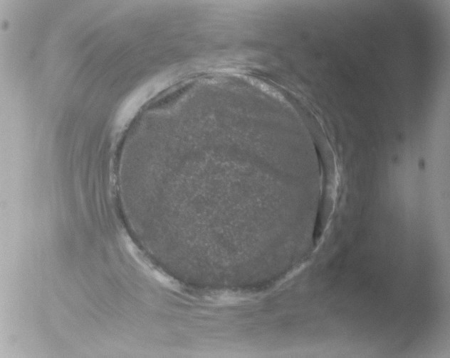 X0000051880293200507151920