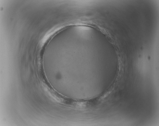 X0000051880295200507151919