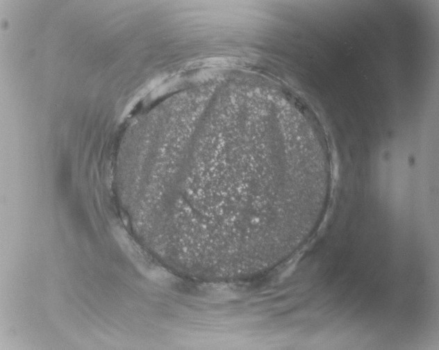 X0000051880297200507151919