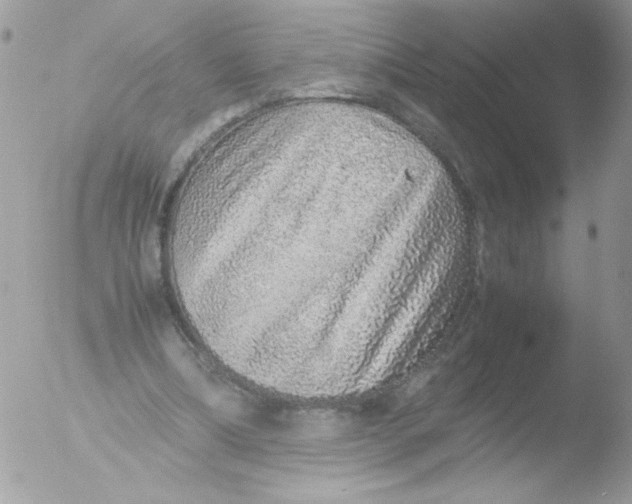 X0000051880298200507151919