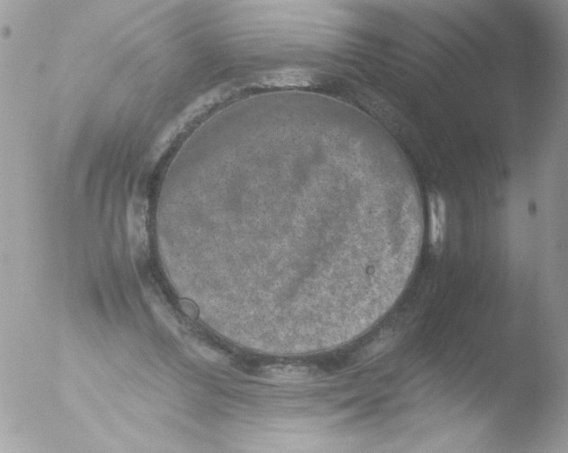 X0000051880300200507151919