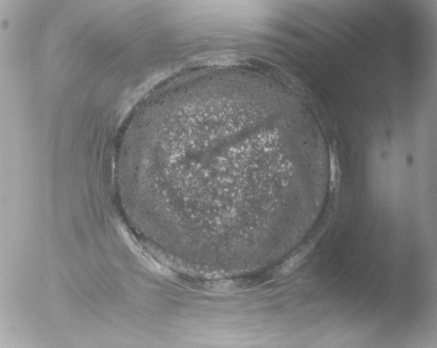 X0000051880301200507151919