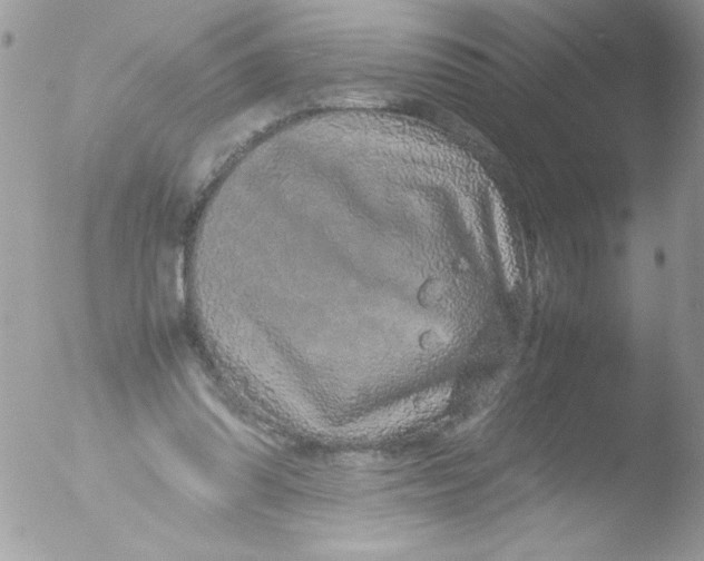 X0000051880302200507151919