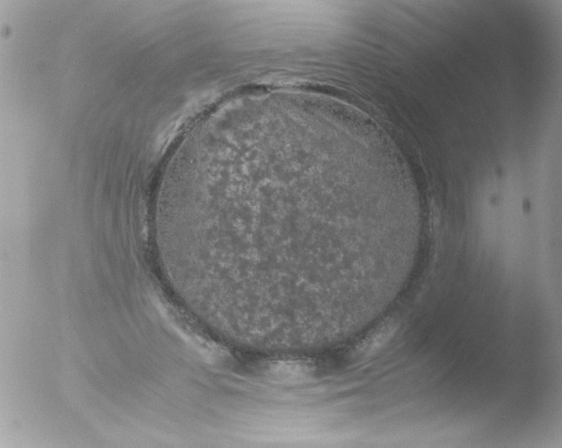 X0000051880303200507151919