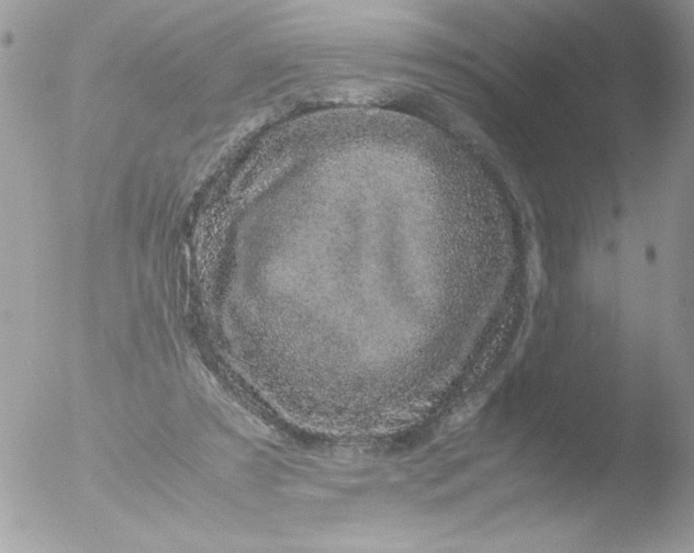 X0000051880305200507151919