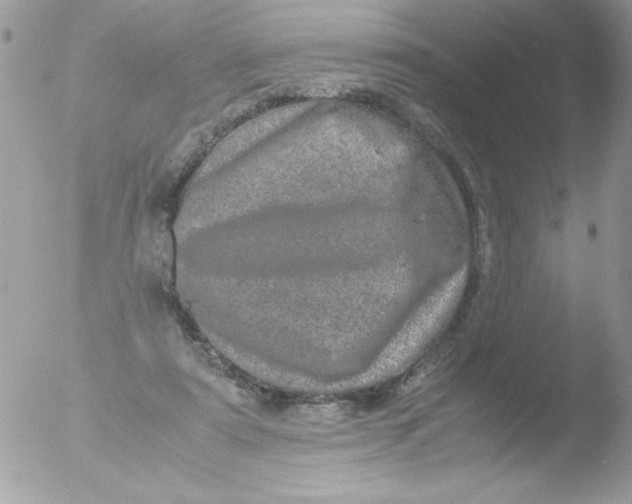 X0000051880307200507151919