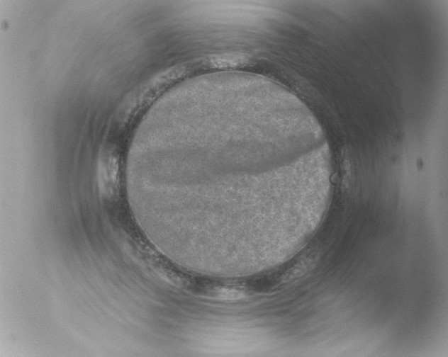 X0000051880308200507151919