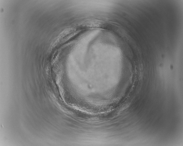 X0000051880309200507151919