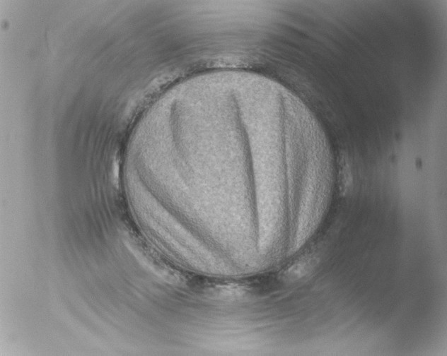 X0000051880310200507151919