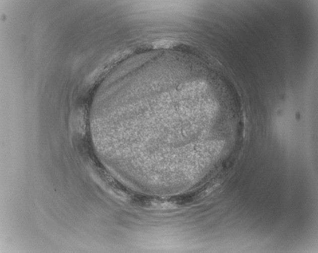 X0000051880311200507151919