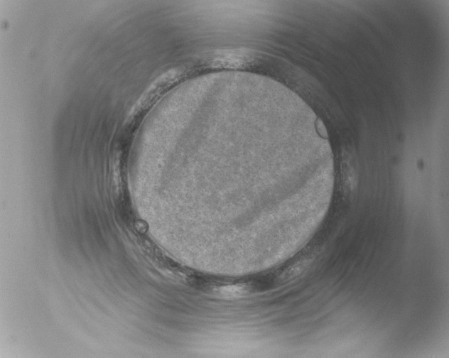 X0000051880312200507151919