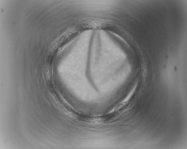 X0000051880313200507151919