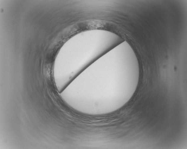 X0000051880315200507151919