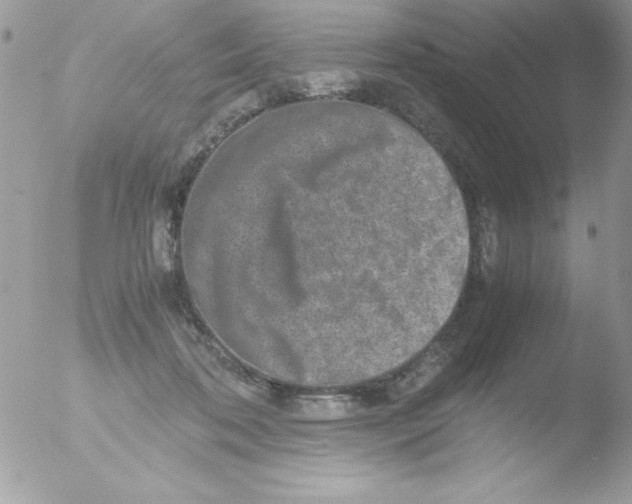 X0000051880316200507151919