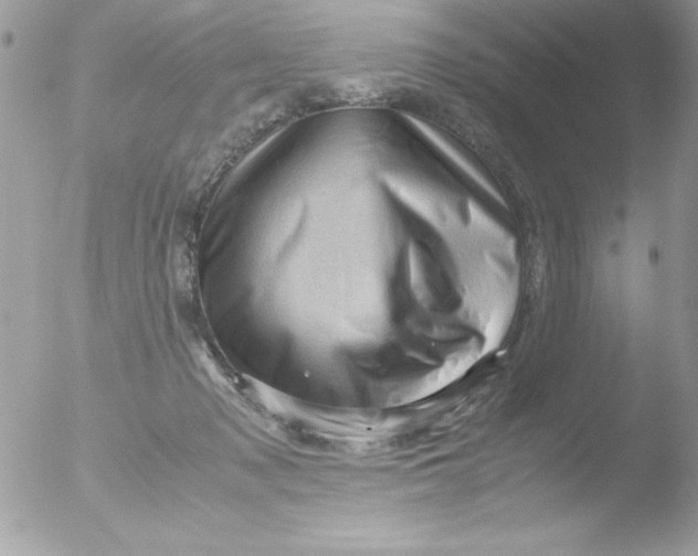 X0000051880317200507151919