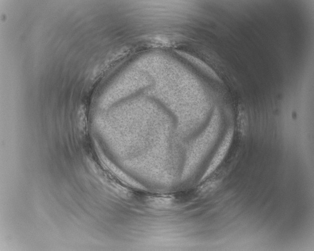 X0000051880318200507151919