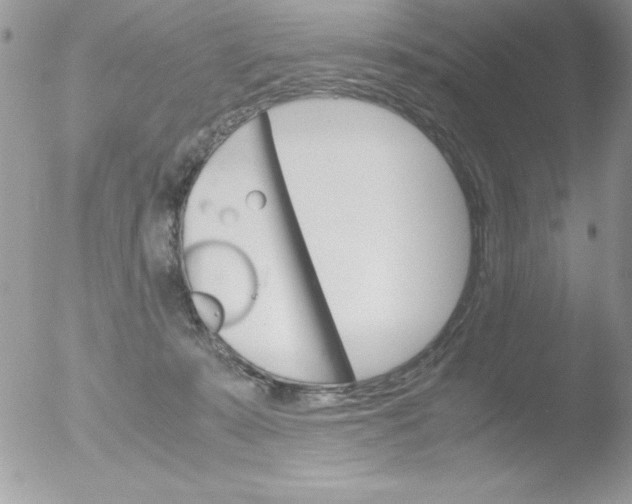 X0000051880319200507151919