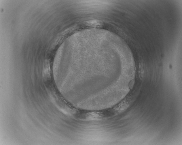 X0000051880320200507151919