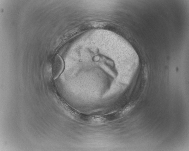 X0000051880321200507151919