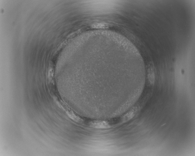 X0000051880322200507151919