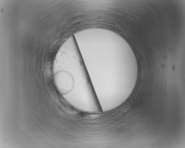 X0000051880323200507151919