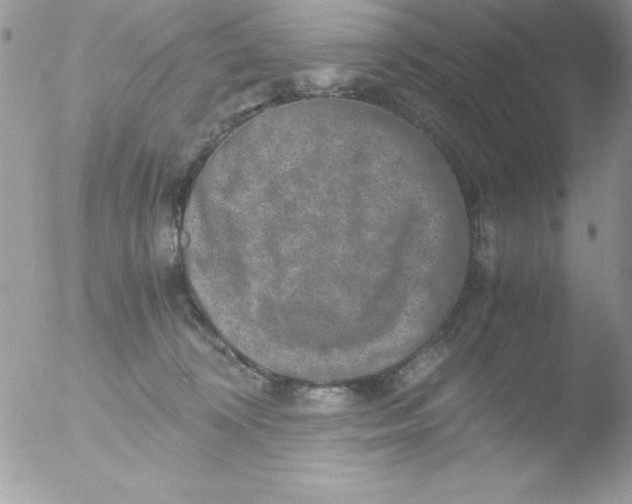 X0000051880324200507151919