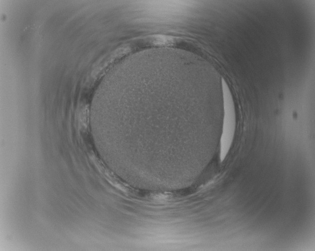 X0000051880325200507151919