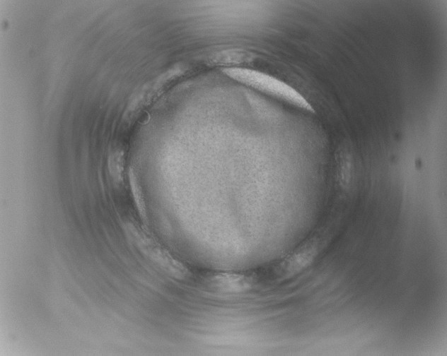 X0000051880326200507151919