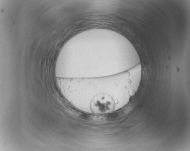 X0000051880327200507151919