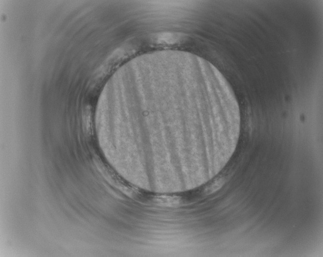 X0000051880328200507151919