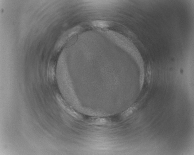 X0000051880330200507151919