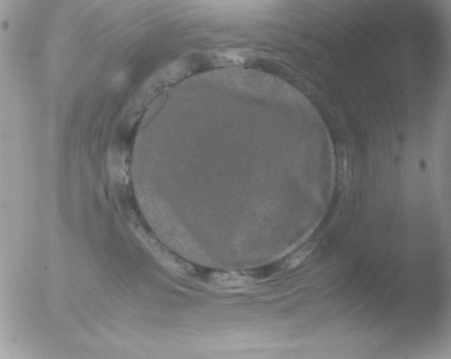 X0000051880331200507151919