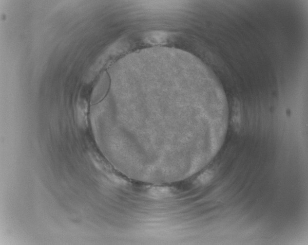 X0000051880332200507151919