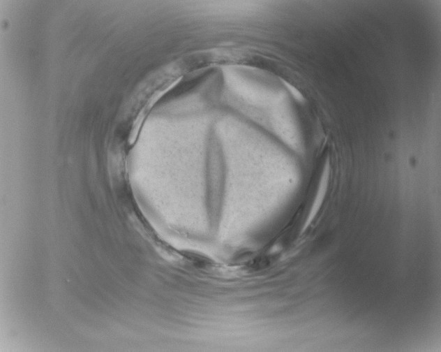 X0000051880333200507151919