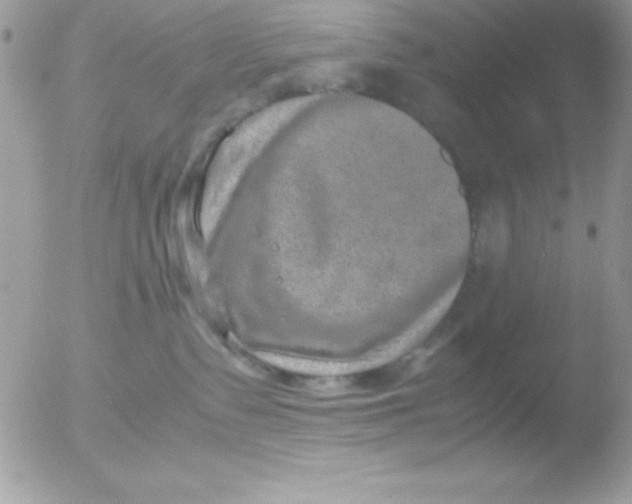 X0000051880335200507151919