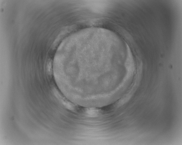 X0000051880336200507151919