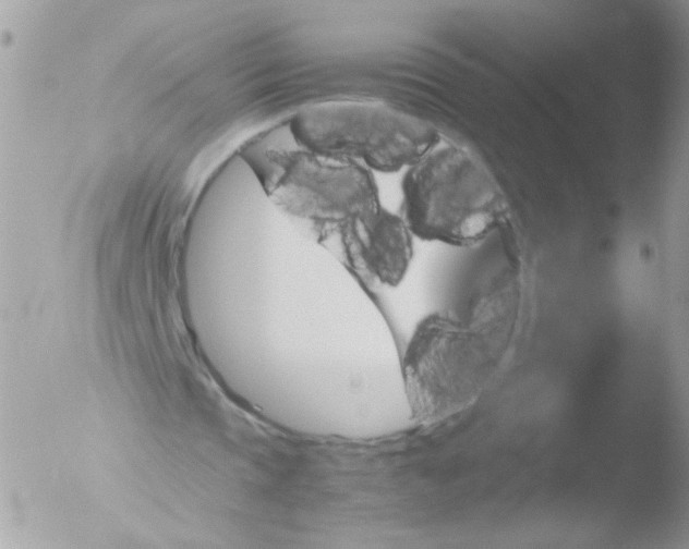 X0000051880337200507151918