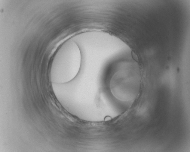 X0000051880338200507151918