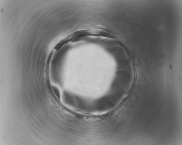 X0000051880340200507151918