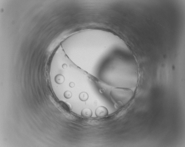 X0000051880341200507151918