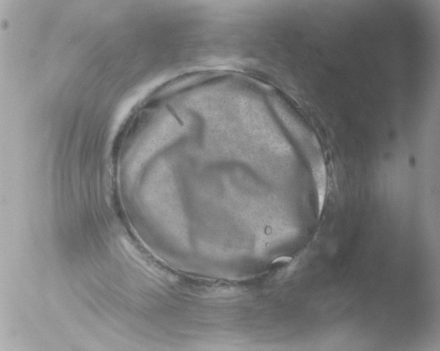 X0000051880342200507151918