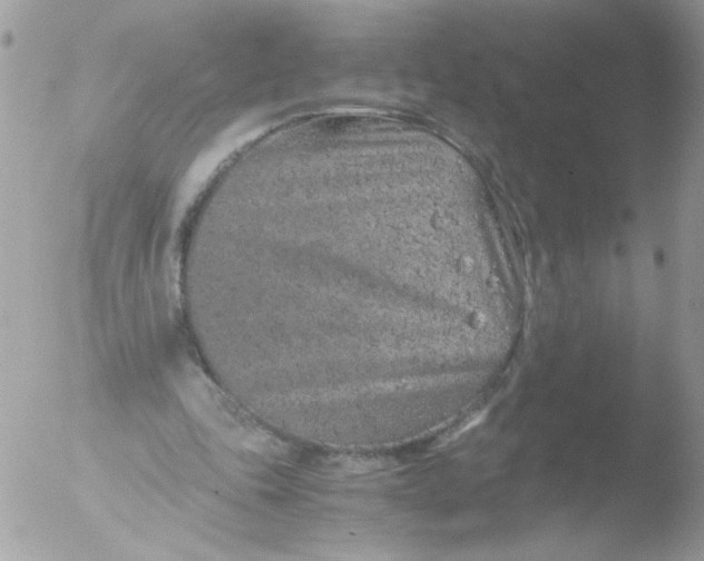 X0000051880343200507151918