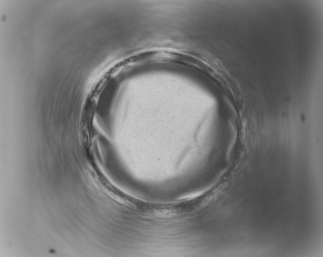 X0000051880344200507151918