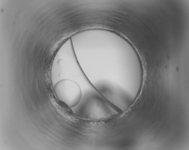 X0000051880345200507151918