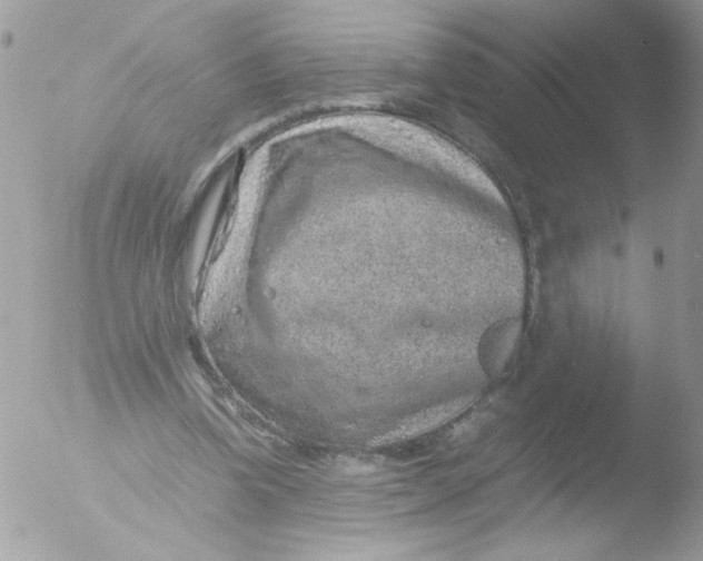 X0000051880346200507151918