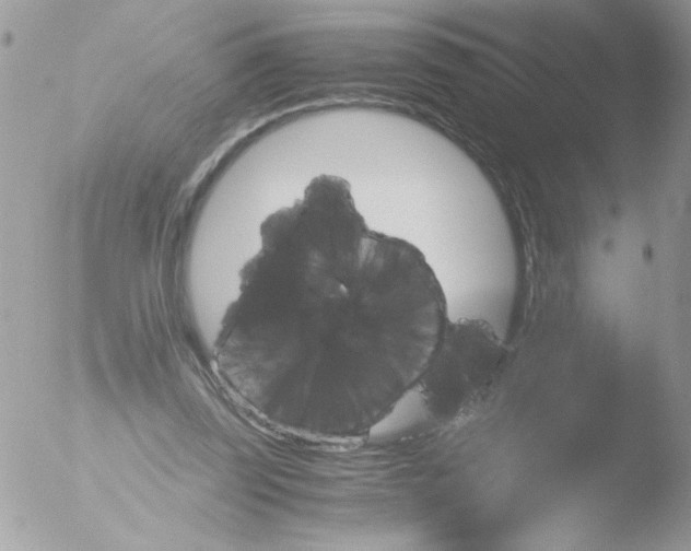 X0000051880347200507151918