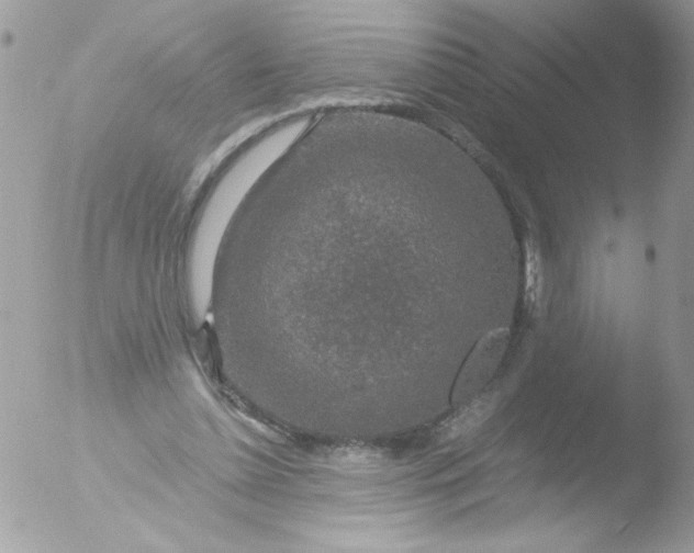 X0000051880348200507151918