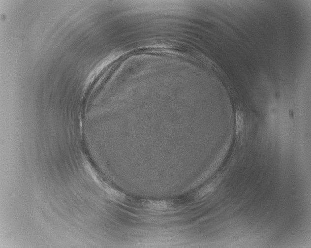 X0000051880349200507151918